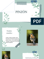 PINZON