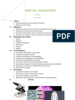 Informe de Laboratorio CCNN