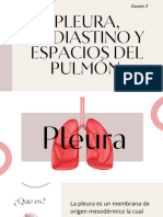 Pleura, Mediastinos y Espacios Del Pulmón