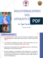 Malformaciones DEL Aparato Urinario: Dr. Igor Pardo Zapata