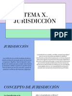 Tema X Jurisdiccion