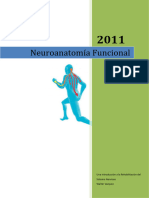 Neuroanatomía Funcional Numeración