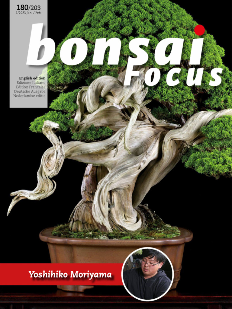 Bonsai Focus - 01.02 2023 | PDF | Grafting | Trees