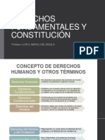 Derechos Fundamentales y Constitución
