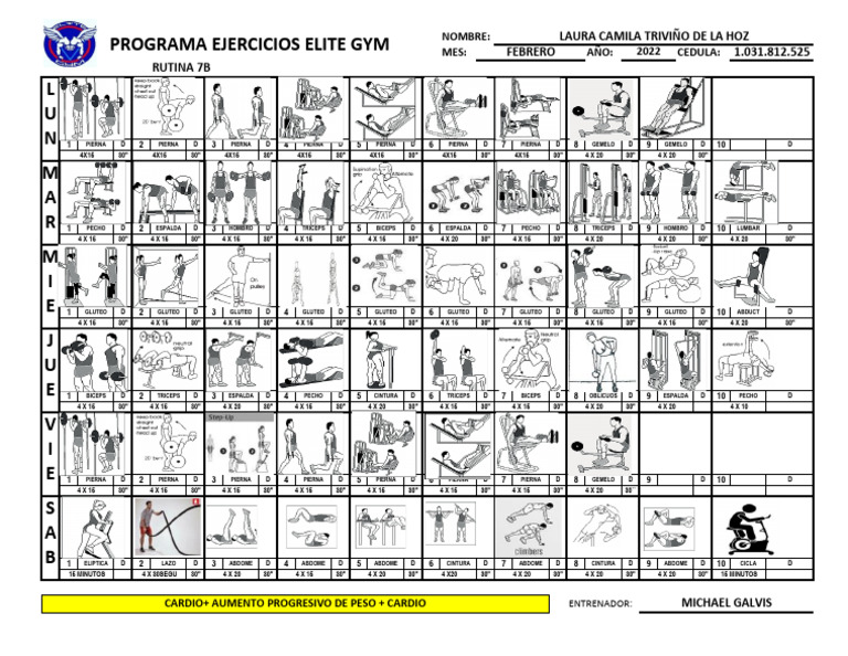Rutina elite gym c c 1 031 812 525 pdf