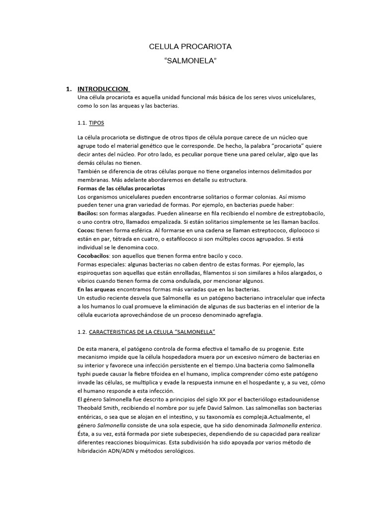 Celula Procariota | PDF | Salmonela | Las bacterias