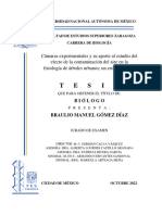 Tesis GDBM 18102022