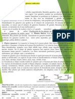 2 Fitomejoramiento UNT 2023 - I Jequetepeque (2) .PPTX (Autoguardado)