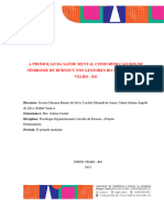 Relatório - Projeto Extensão - Organizacional e Gestão