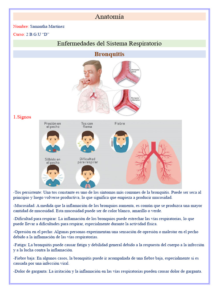 Enfermedades Del Sistema Respiratorio Descargar Gratis Pdf