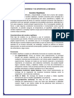 La Neurociencia y Su Aporte en La Infancia