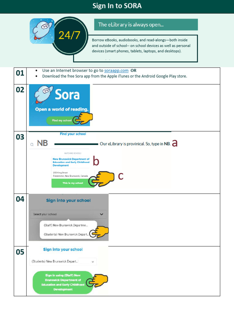 Sora App Login and Usage Guide | PDF