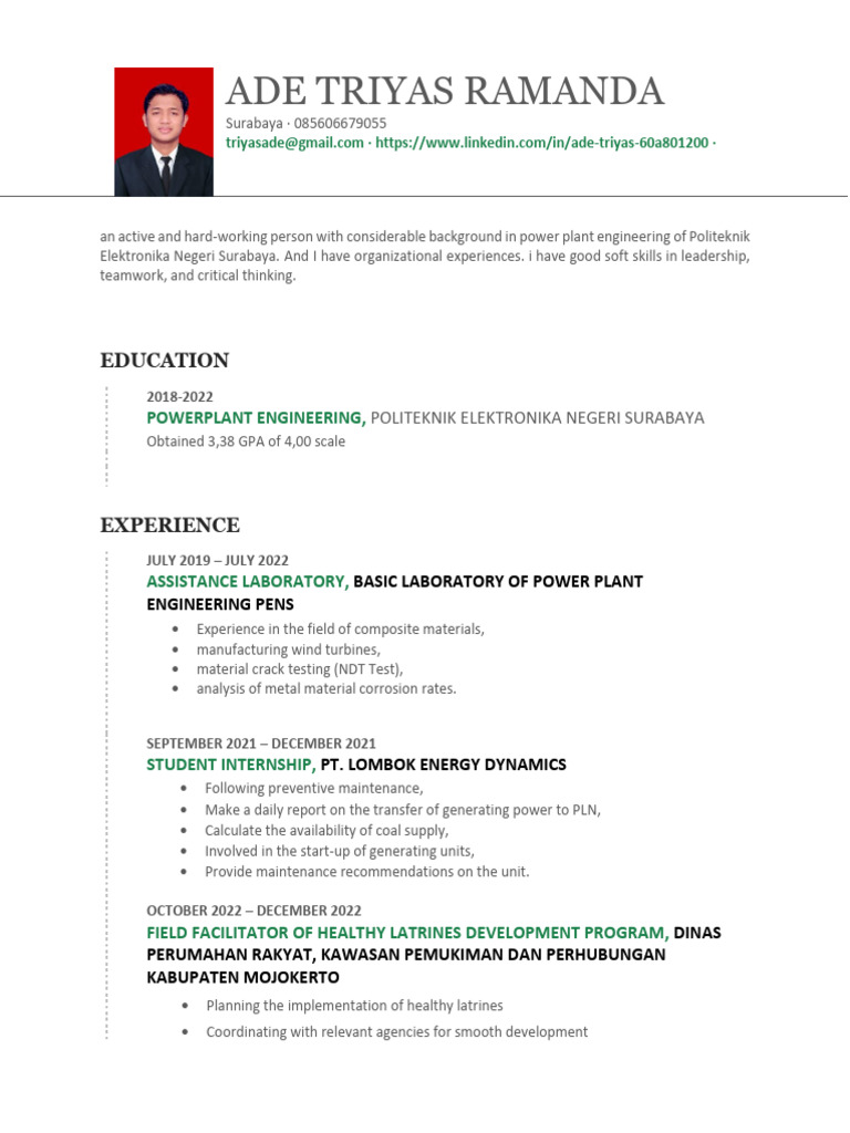 Template CV | PDF | Power Station | Engineering