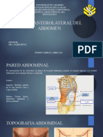 Pared Abdominal Ginecologia