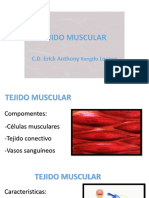 Tejido Muscular Clase