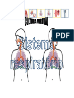 7 - Sistema Respiratório