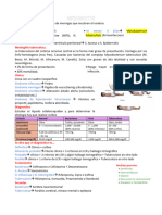 Meningitis Pediatria