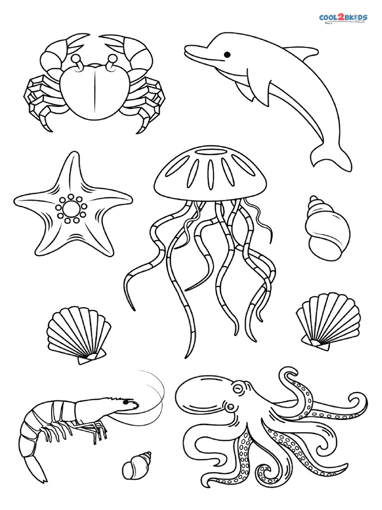 Beach Animals Coloring Pages PDF