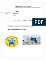 Industrial Vist Report PDF
