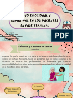 Apoyo Emocional y Espiritual en PX Con Fase Terminal