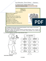 Acróstico-Antonimos-Amistad y Estaciones Personal Primero C-2023