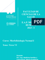 Clase 20 Morfo - Lupe - Final