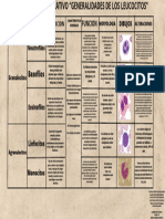 Generalidades de Los Leucocitos