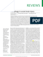 Autophagy in Acute Brain Injury