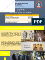 Exposicion Reconocimiento Judicial