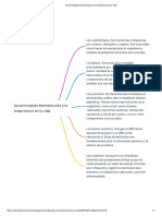 Las Principales Biomoleculas y La Importancia en La Vida