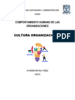 Cultura Organizacional Fca Ary