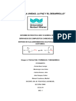 Informe de Práctica Nro 10 Quimica Orgánica Ii