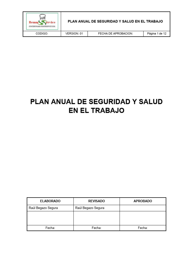Plan Anual de Seguridad y Salud Laboral | PDF | Calidad (comercial ...