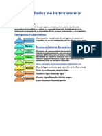 Generalidades de La Taxonomía