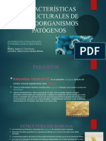 Características Estructurales de Microorganismos Patógenos