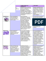 Cuadro Comparativo