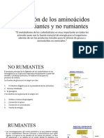 Absorción de Los Aminoácidos en Rumiantes y No