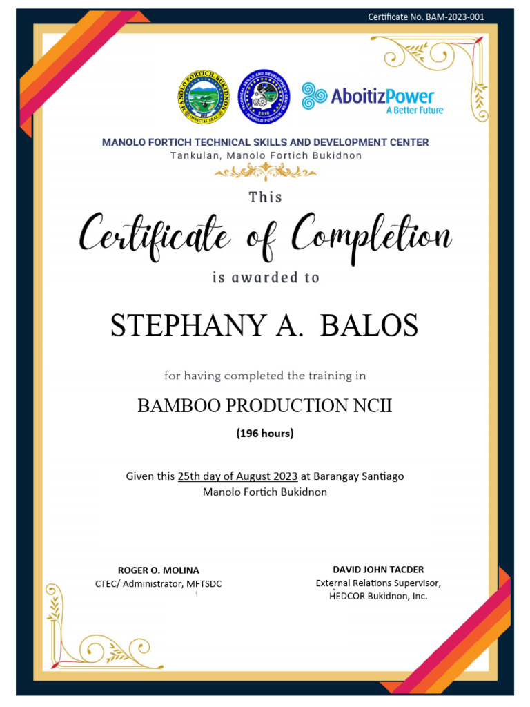 Final Certificate | PDF | Technology & Engineering