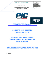 Informe de Análisis de Vibraciones Grupo 01 - C. H. Shagua - 21.02