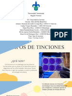 Actividad 6 - Tipos de Tinciones