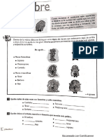 El Timbre Cuadernillo