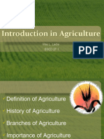 Branches of Agriculture FFF