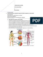 Ut 7 Fisiopatologia Circulatoria
