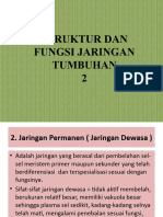 Jaringan Tumbuhan 2