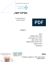 אנטומיה ופיזיולוגיה 2 - מערכת השתן 17-18 - 8032