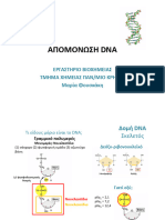 ΑΠΟΜΟΝΩΣΗ DNA 2023