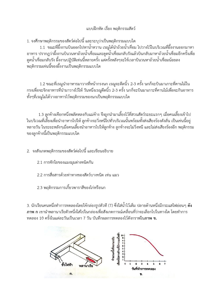 B 8 E 0 B 8 E 0 B 895 E 0 B 8 B 4 E 0 B 881 E 0 B 8 A 3 E 0 B 8 A 3 Pdf