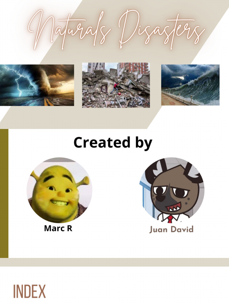 Naturals Disasters | PDF