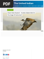 Great Indian Bustard 