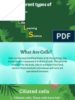 Different Types of Cell